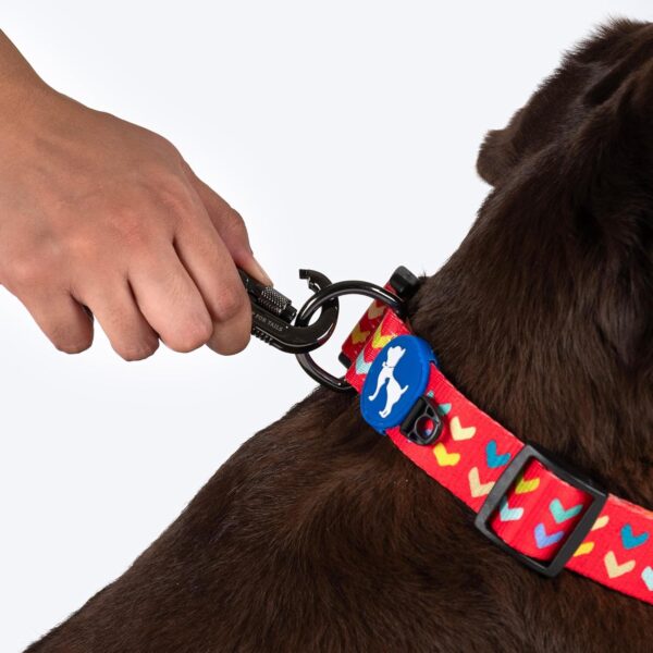81fcQAYJztL._SL1500_.jpg HUFT Heart to Heart Dog Leash - Red - S