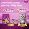 81hTmwhQA0L._SL1500_.jpg Whiskas Adult (+1 Year) Wet Cat Food, Ocean Fish Flavor, 80 g, Pack of 28 | Complete & Balanced Food for Adult Cats | Pet Food for Hydration of Cats