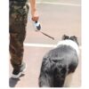 81hkA08klWL._SL1500_.jpg Heavy Duty Retractable Dog Leash with Torch β 5M Durable Pet Walking Leash Green (PPL-137)
