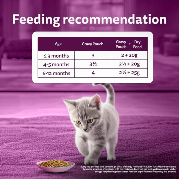 81hzNwpw5ZL._SL1500_.jpg Whiskas Junior Kitten (2-12 Months) Wet Cat Food, Chicken in Gravy, 80 g (Pack of 14), Hydrating Food Made With Real Chicken, 100% Complete & Balanced Nutrition for Kittens