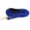 Padded Dog Training Lead Dog Leash 5 Feet Long Leash for Dogs (1" Wide by 5 Ft, Blue Colour)