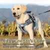 Dog Harness, Adjustable Dog Body Belt For Large Dogs With Copybook Dog Vest (XL, Black, Pack of 1),330 gram