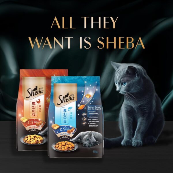 Sheba Kitten and Adult, Irresistible Dry Cat Food, Salmon Flavour, 1.5 kg, Contains 41 Essential Nutrients, Complete & Balanced Nutrition