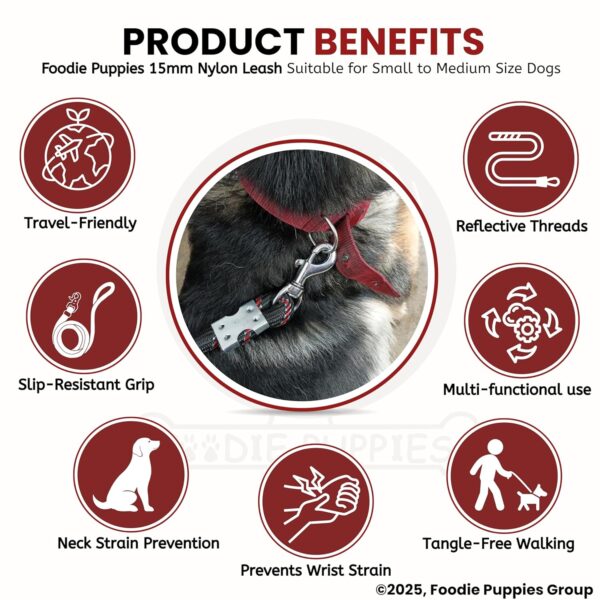 Foodie Puppies Dog Training Walking Rope - Nylon Leash (15mm) for Small to Medium Sized Dogs With Strong Hook - Color May Vary