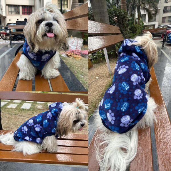 81kpP2DgQsL._SL1500_.jpg Lulala Dog Hoodie Fuzzy Dog Sweater with Leash Hole - Small Dog and Cat Clothes Warm Soft Cozy Hooded Sweatshirt for Winter. (Blue-12Inch)