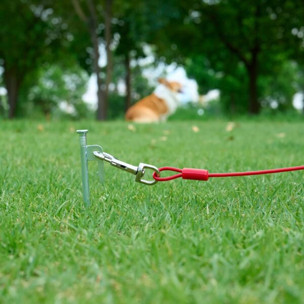 Amazon Basics Tie-Out Cable/ Leash for Dogs Up to 57 kg | 30 Feet | Red | Large Size | Durable Metal Clips for Quick and Easy Connections