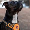 81liXFrxZrL._SL1500_.jpg Wooflix Heavy Duty Reflective Dog Harness for Large Sized Breed Dogs – No Pull, No Choke Harness for Dog with Adjustable Chest Belt with Soft Padded Handle | Orange – Size: Large (22kg to 32kg Dog)