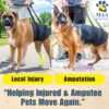 A+a Pets' Dog Lift Support Harness for Hind/Back Legs | for Disable Aged Injured Paralysed Arthritis Pets (Navy, L)