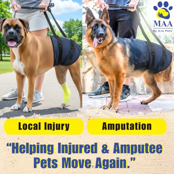 A+a Pets' Dog Lift Support Harness for Hind/Back Legs | for Disable Aged Injured Paralysed Arthritis Pets (Navy, L)