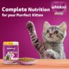 81ltUW89HML._SL1500_.jpg Whiskas Junior Kitten (2-12 Months) Wet Cat Food, Chicken in Gravy, 80 g (Pack of 14), Hydrating Food Made With Real Chicken, 100% Complete & Balanced Nutrition for Kittens
