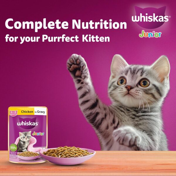 81ltUW89HML._SL1500_.jpg Whiskas Junior Kitten (2-12 Months) Wet Cat Food, Chicken in Gravy, 80 g (Pack of 14), Hydrating Food Made With Real Chicken, 100% Complete & Balanced Nutrition for Kittens