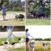 81mxmbmsWmS._SL1500_.jpg 2022 Newest Nylon Tactial 6 ft Anti Pull Traffic Control Padded Double Dog Lead Bungee Training Double Head Dog Leash for Two Small and Medium Dogs