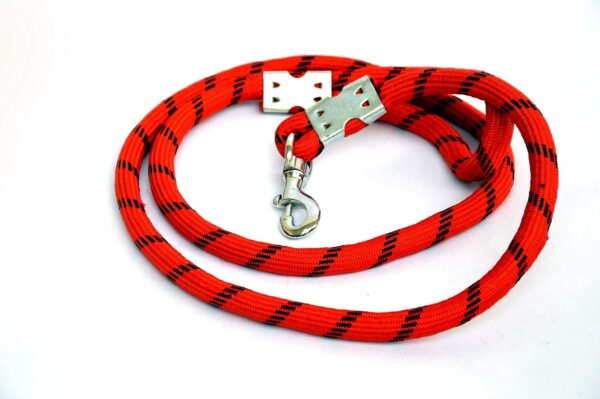81nBD3CPnuL._SL1500_.jpg Dogista Pet Products Cotton Dog Rope 18Mm (Color May Very), Large