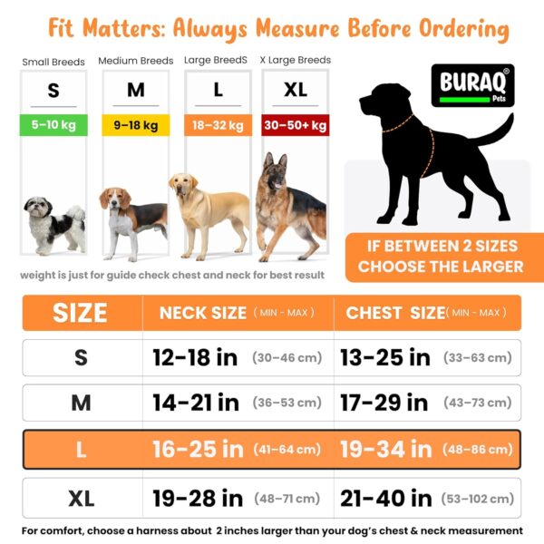 Buraq Reflective Dog Harness with Leash, No-Pull Adjustable Belt Vest for Small, Medium & Large Dogs, Escape-Proof, Padded Training & Walking Harness (XL - Orange)