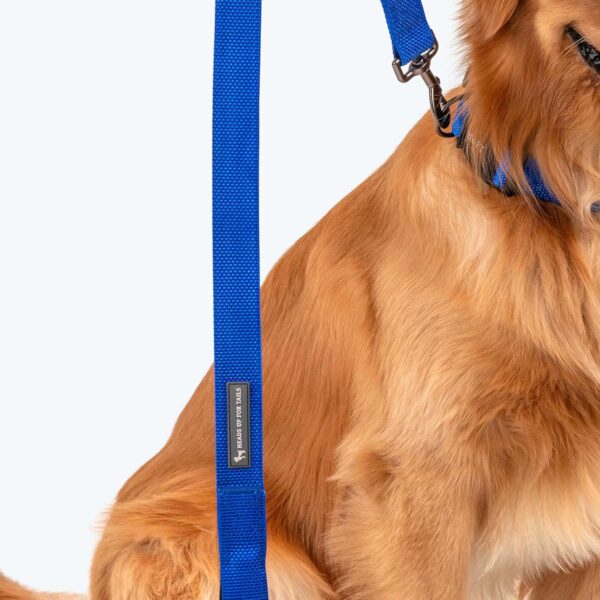 HUFT Basics Dog Leash - Cobalt Blue - S