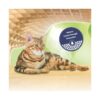 JRS Cats Best Cat Litter 2.1 Kg Pack of 2