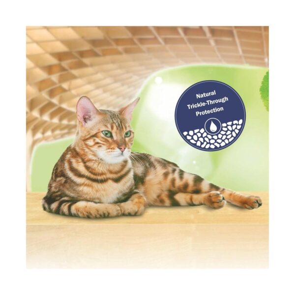 JRS Cats Best Cat Litter 2.1 Kg Pack of 2