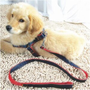 Kuber Industries Dog Chest Belt Harness with Adjustable Leash|Premium Demin Kuber Industries Dog Chest Belt Harness with Adjustable Leash|Premium Demin Fabric|Metal Hooks |PDMG