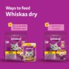 81pt-LTbYVL._SL1500_.jpg Whiskas Adult (1+ Years) Dry Cat Food, Chicken Flavour, 1.2 kg, Contains 41 Essential Nutrients, Complete & Balanced Nutrition for Adult Cats