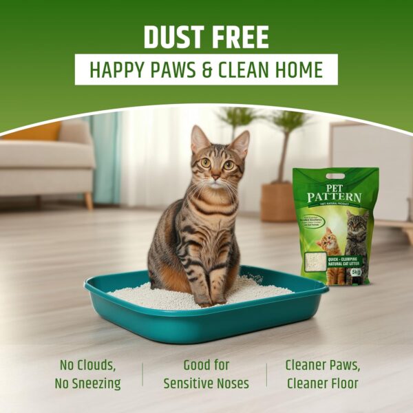 CAT Litter Sand for CAT 10KG, 99.99% Dust Free, Fast Clamping Natural Cat Litter 10kg (CAT Litter 5KG X 2 - Non Scented) DogsNCats - Authorised Partner