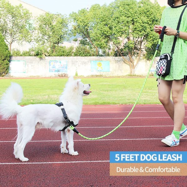 Petology Dog Leash 6FT Long, 1 Inch Thick Reflective Heavy Duty Rope with Anti-Slip Padded Handle for Medium & Large Dogs