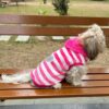 Lulala Dog Hoodie Fuzzy Sweater with Leash Hole - Small Dog & Cat Clothes Warm Soft Cozy Hooded Sweatshirt for Winter.(Pink-12Inch)