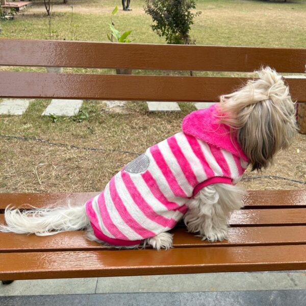 Lulala Dog Hoodie Fuzzy Sweater with Leash Hole - Small Dog & Cat Clothes Warm Soft Cozy Hooded Sweatshirt for Winter.(Pink-12Inch)