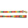 PetWale Dog Leash with Padded Handle | Suited for Walking, Running, Training & More | Colourful Stripes Print | Easy to Clean & Maintain | Durable & Sturdy | L: 5 feet, W: 1 inch