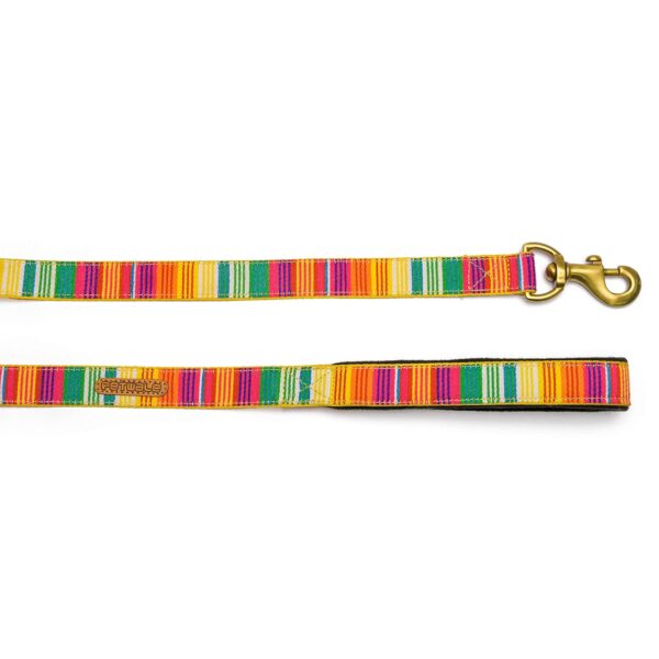 PetWale Dog Leash with Padded Handle | Suited for Walking, Running, Training & More | Colourful Stripes Print | Easy to Clean & Maintain | Durable & Sturdy | L: 5 feet, W: 1 inch