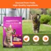 Amazon Basics Dry Cat Food|3 Kg|Ocean Fish|acked with Protein|Suitable for All Breeds with Amazon Basics Scoopable Smart White Bentonite Scented Cat Litter|10 Kg|Lavender Fragrance