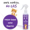 ODO-RITE Cat Litter Spray, Odour Eliminator Removes Smell from Litter Box (175 ml - Pack of 2)
