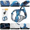 81tAKY65L8L._SL1500_.jpg FYA Dog Harness With 1.5M Rope, No-Pull Reflective Pet Vest Harness, No-Pull Pet Harness, Reflective No-Choke Pet Oxford Vest With Easy Control Handle For Midium Large Dogs,Lake Blue