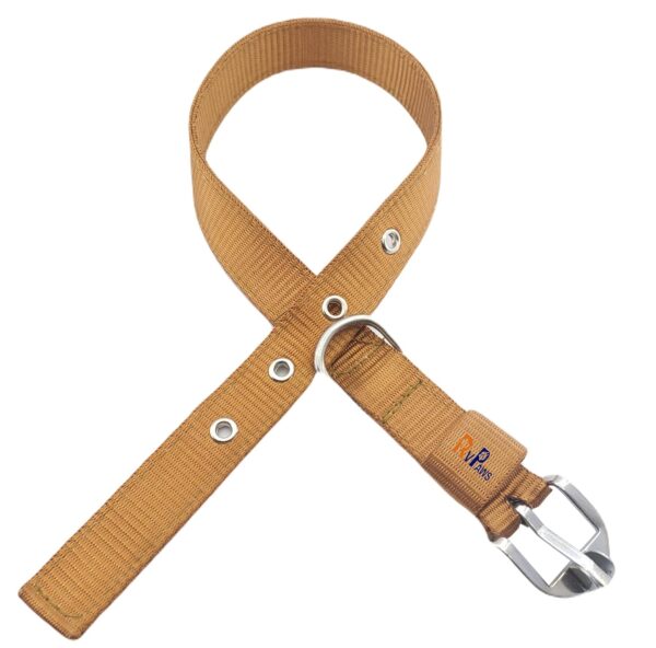 RvPaws Combo Nylon Dog Belt - 1 Inch Collar with Heavy Dog Chain 63 Inch Lengthy Dog Collar Chain Adjustable (Collar Neck Size 16-20 Inch) (Golden)