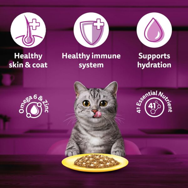 81tZ2IUCiLL._SL1500_.jpg Whiskas Adult (+1 Year) Wet Cat Food, Ocean Fish Flavor, 80 g, Pack of 28 | Complete & Balanced Food for Adult Cats | Pet Food for Hydration of Cats