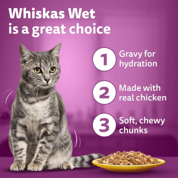 81tf3eHgbJL._SL1500_.jpg Whiskas Adult (+1 Year) Wet Cat Food, Ocean Fish Flavor, 80 g, Pack of 28 | Complete & Balanced Food for Adult Cats | Pet Food for Hydration of Cats
