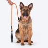 HUFT Rope Leash for Dogs - Orange - 4 ft