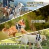 Dog Harness, Adjustable Dog Body Belt For Large Dogs With Copybook Dog Vest (XL, Black, Pack of 1),330 gram