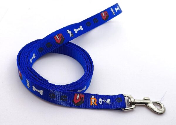 RvPaws 15 MM Paw/Bone Printed Soft Nylon Collar Belt and Leash Set for Small Breed Dog and Puppies - Blue