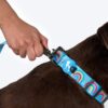 HUFT Over The Rainbow Dog Leash - Blue - S