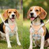 Pastel Dog Harness and Leash Set for Dogs and Cats | Adjustable No-Pull, No-Choke Soft Padded Pet Vest with Matching Leash | Comfortable, Cute and Stylish Walking Harness (Blue)