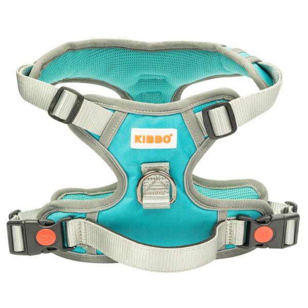 Premium Reflective Vest Dog Harness | Soft Breathable Mesh and Premium Reflective Vest Dog Harness | Soft Breathable Mesh and Oxford Nylon Fabric | Padded Control Handle with No Pull Front & Back Clip | Adjustable Strap & Dual Lock Buckle (Small, Sea Green)