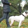 Reflective Rope Dog Leash – Durable, High-Visibility Pet Leash for Safe Walks Grey (Pack of - 1)