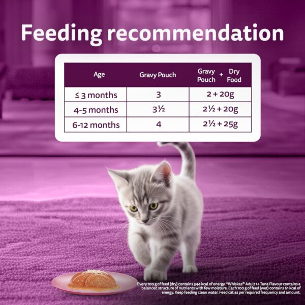 81wTcwWiyYL._SL1500_.jpg Whiskas Junior Kitten (2-12 Months) Wet Cat Food, Chicken with Salmon in Jelly, 80 g x 28, Hydrating Food Made with Real Fish, 100% Complete & Balanced Nutrition for Kittens