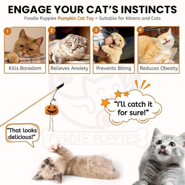 Foodie Puppies Cat Teaser Playing Wooden Stick Halloween Plush Toy (Pumpkin, 41cm) for Cats and Kittens | Interactive Bell Hanging Wood Wand | Fun Teasing, Catching, Chasing and Bonding Play