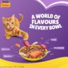 81wpgCoXsL._SL1500_.jpg Purina Friskies Surfin' Favourites Adult Dry Cat Food, 6kg, Contains Mackerel, Tuna, Salmon & Sardine Flavours