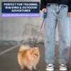 Retractable Dog Leash | 5M Heavy Duty Dog Leash for Small & Medium Size Dogs Upto 20 Kg| Strong Nylon Tape, Anti-Slip Handle, 360° Tangle-Free, One-Click Brake & Pause | (Upto 20 kg Dog, Blue)