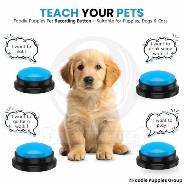 Foodie Puppies Interactive Dog Toys, Pet Voice Recording Button Training Talking Button/Buzzer Toy for Communication - (Blue) Easy to Use Talking, 30Sec Record & Playback, [Without Battery]