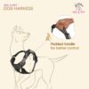 81x5ZZgCmmL._SL1500_.jpg Dog Harness, No Pull & No Choke Harness for Dogs, Oxford Breathable & Reflective Fabric Vest, Soft Inner Sponge Padding, Adjustable Body Belts, Thicker Handle (Medium, Black)