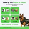 81xKveNWaPL._SL1500_.jpg Buraq Military Tactical Dog Harness, No-Pull Adjustable Training Vest with Handle Easy Control, Tactical Vest Harness for Walking Training Hiking (Grey, L)