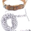 RvPaws Combo Nylon Dog Belt - 1 Inch Collar with Heavy Dog Chain 63 Inch Lengthy Dog Collar Chain Adjustable (Collar Neck Size 16-20 Inch) (Golden)